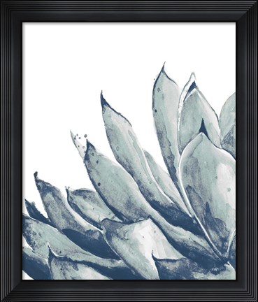 Framed Blue Agave on White I Print