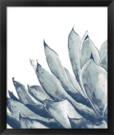 Framed Blue Agave on White I Print