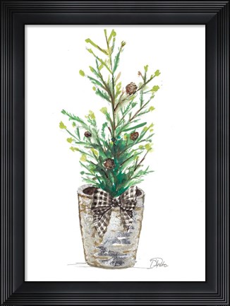 Framed Christmas Fir II Print