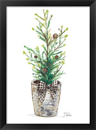 Framed Christmas Fir II Print