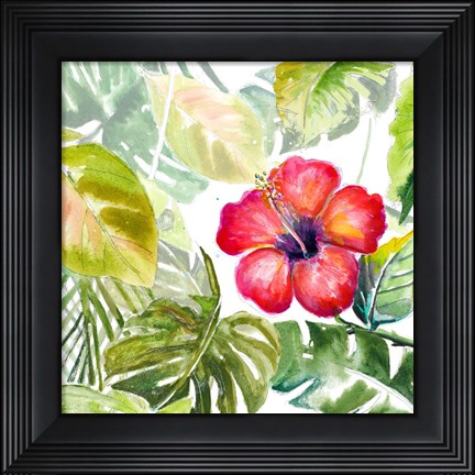 Framed Hibiscus on Selva Print
