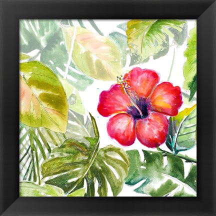 Framed Hibiscus on Selva Print