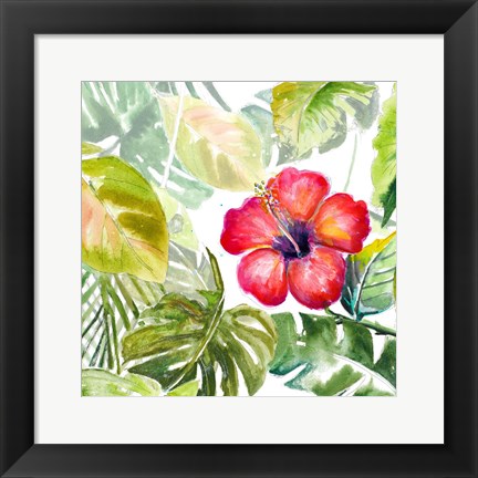 Framed Hibiscus on Selva Print