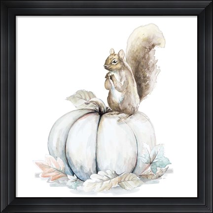 Framed Squirrel and Pumpkin II Print
