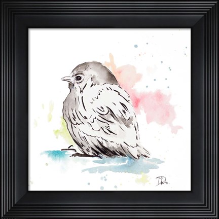 Framed Bird Sketch I Print