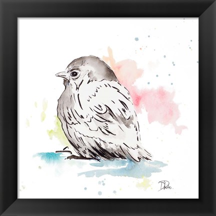 Framed Bird Sketch I Print