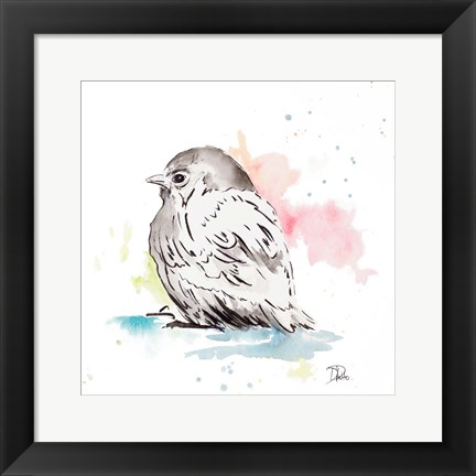 Framed Bird Sketch I Print