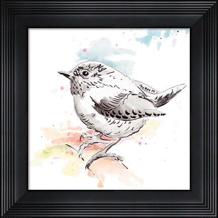 Framed Bird Sketch II Print