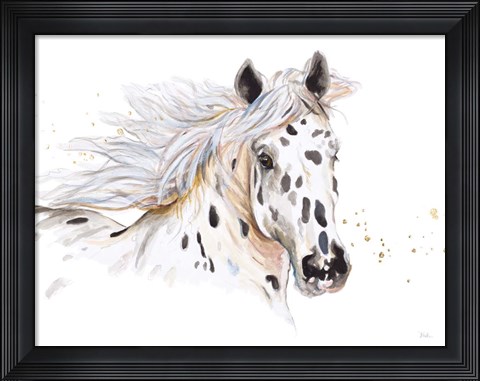Framed Appaloosa Print