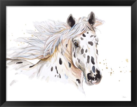 Framed Appaloosa Print