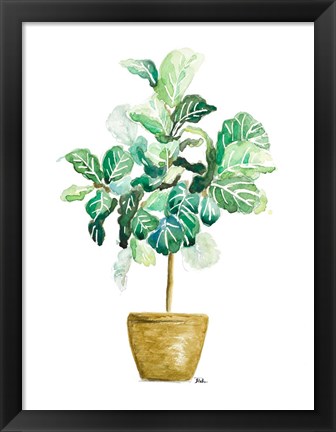 Framed Fig Plant Print