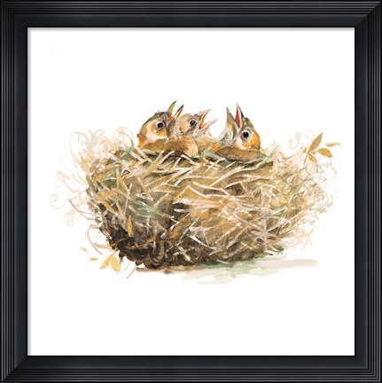 Framed Nest Print