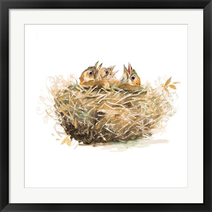 Framed Nest Print