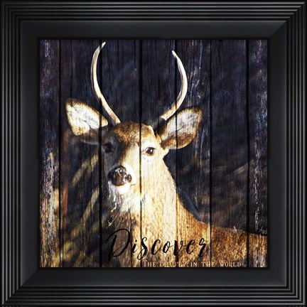 Framed Discover the Beauty Print