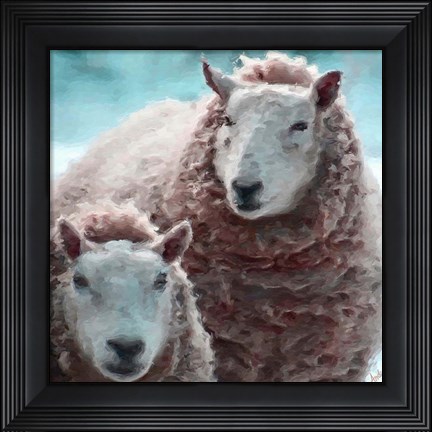 Framed Sheep Square I Print