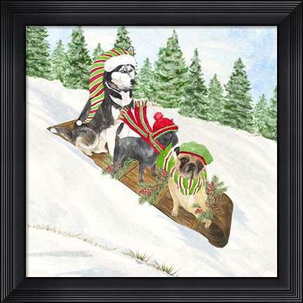 Framed Dog Days of Christmas III Sledding Print