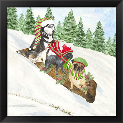 Framed Dog Days of Christmas III Sledding Print