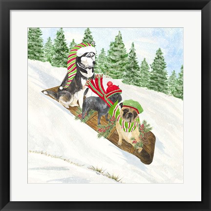 Framed Dog Days of Christmas III Sledding Print