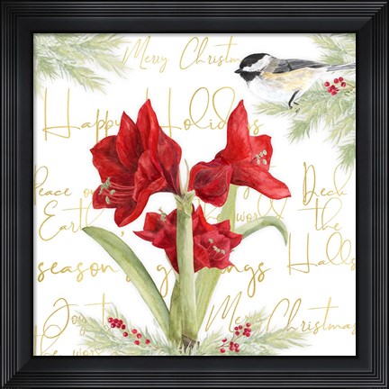 Framed Merry Amaryllis I Print