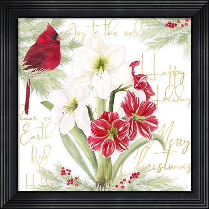 Framed Merry Amaryllis II Print
