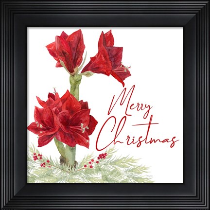 Framed Merry Amaryllis VI Print