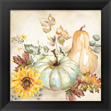 Framed Watercolor Harvest Pumpkin II Print