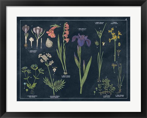 Framed Botanical Floral Chart II Dark Blue Print