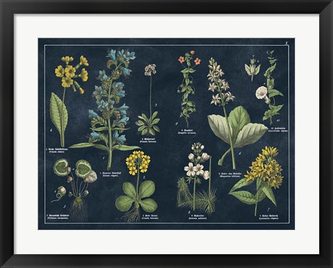 Framed Botanical Floral Chart I Dark Blue Print