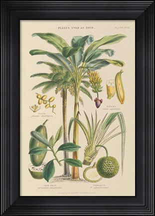 Framed Fruit Trees Print
