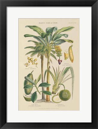 Framed Fruit Trees Print