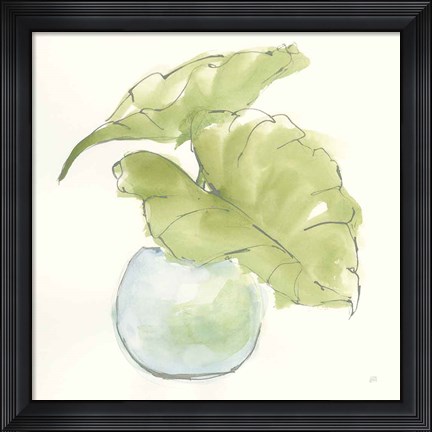 Framed Plant Big Leaf III Print