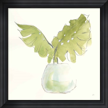 Framed Plant Big Leaf II Print