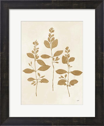 Framed Botanical Study IV Gold Crop Print