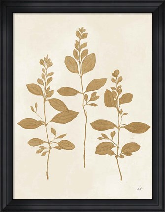 Framed Botanical Study IV Gold Crop Print