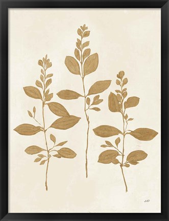 Framed Botanical Study IV Gold Crop Print