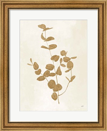 Framed Botanical Study II Gold Crop Print