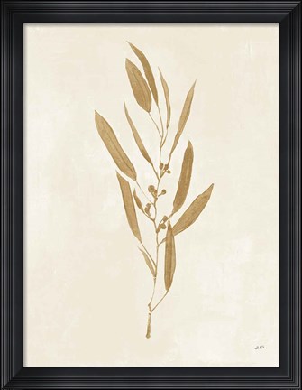 Framed Botanical Study I Gold Crop Print