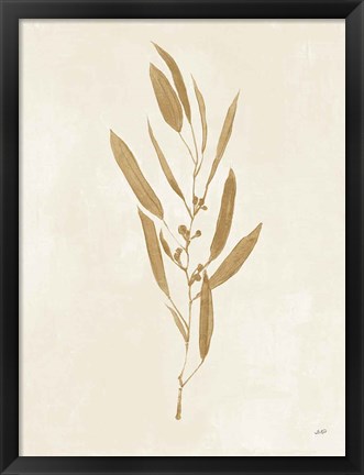 Framed Botanical Study I Gold Crop Print