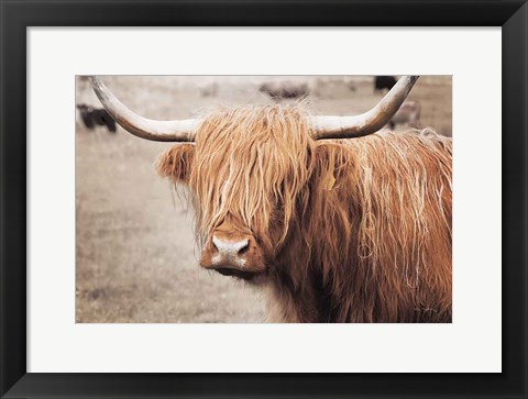 Framed Scottish Highland Cattle I Neutral Print