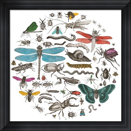 Framed Insect Circle I Bright v2 Print