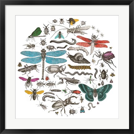 Framed Insect Circle I Bright v2 Print