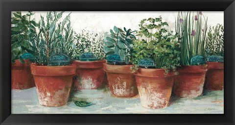 Framed Pots of Herbs II White Print