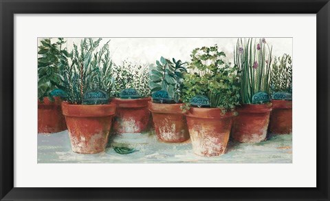 Framed Pots of Herbs II White Print