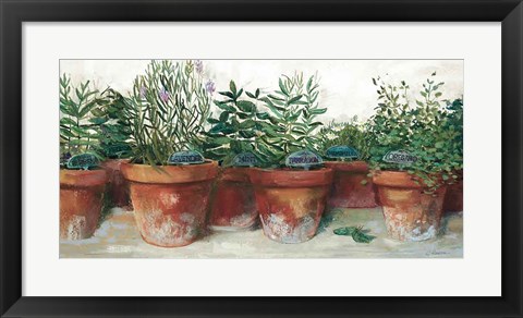 Framed Pots of Herbs I White Print