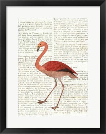 Framed Flying Flamingo No Balloons Print