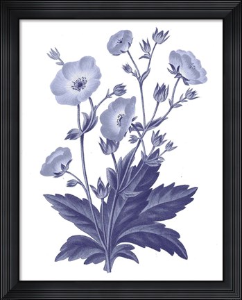 Framed Dark Blue Botanical VI Print