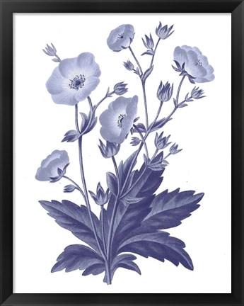 Framed Dark Blue Botanical VI Print