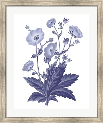 Framed Dark Blue Botanical VI Print