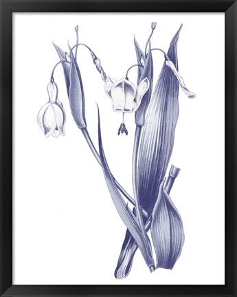 Framed Dark Blue Botanical II Print