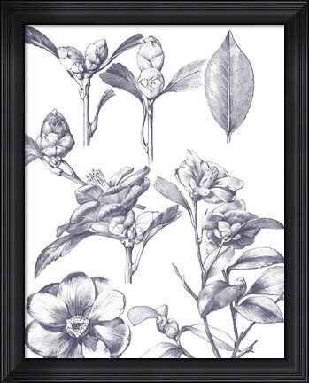 Framed Lithograph Florals II Blue Print